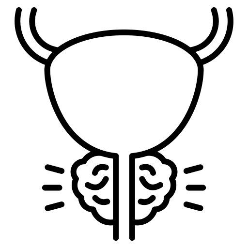 Prostatitis