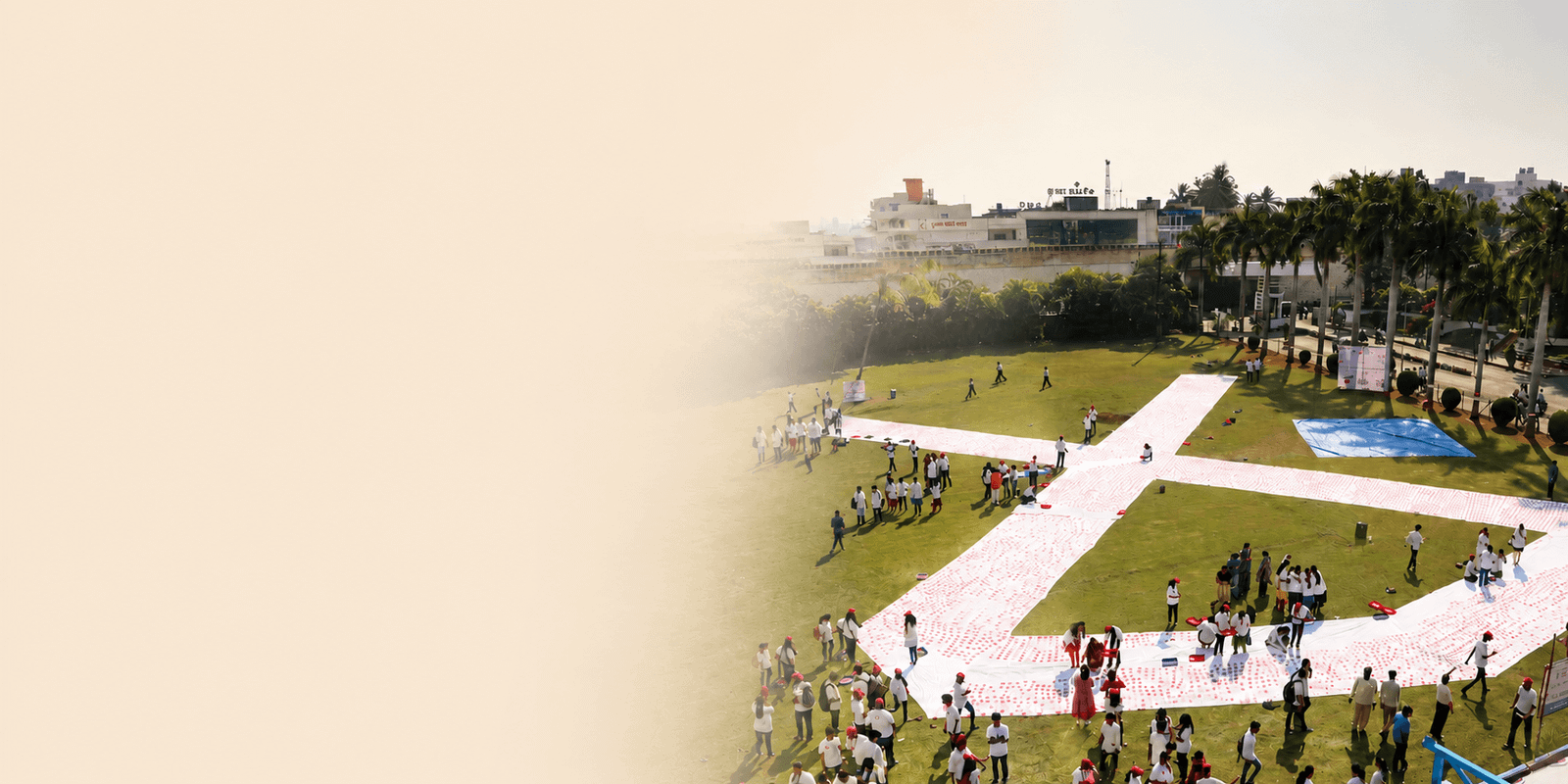 Honouring All The Graceful Survivors Of Cancer